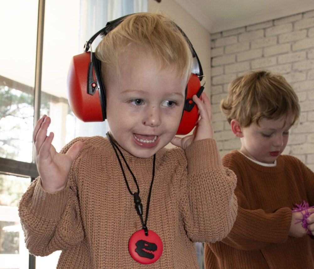 Children's Ear Defenders - Image 2
